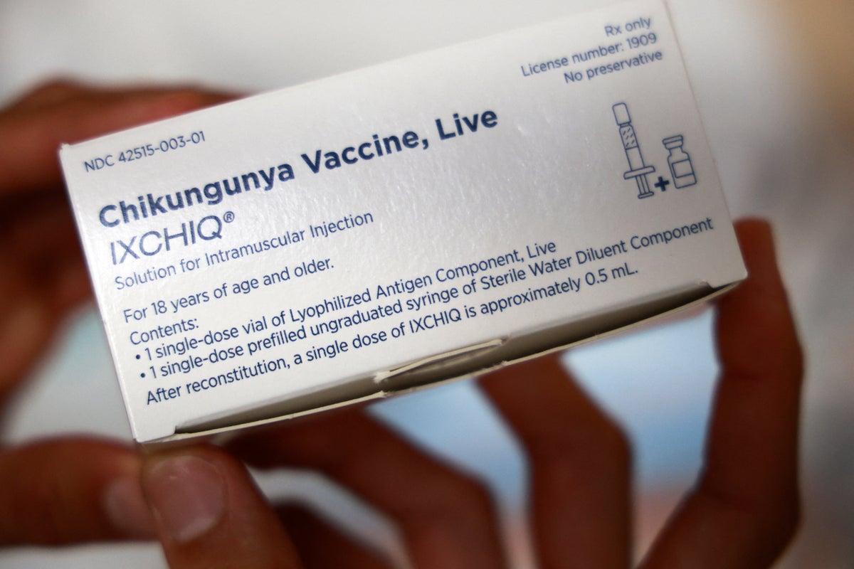 ما هو chikungunya؟ كيفية تجنب الفيروس أثناء عطلة مع ارتفاع الحالات في فرنسا