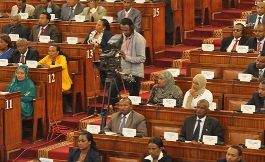 إثيوبيا: شرط البرلمان بند الحصانة في البرلمان في قانون غسل الأموال