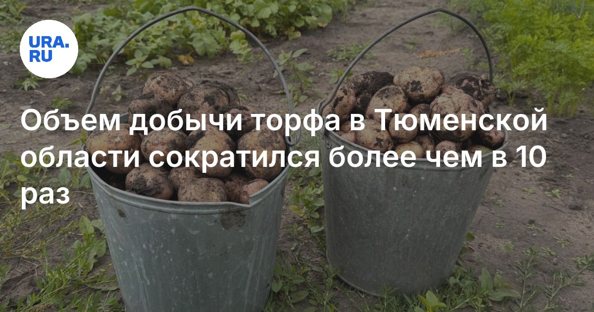 انخفض حجم إنتاج الخث في منطقة Tyumen بأكثر من 10 مرات