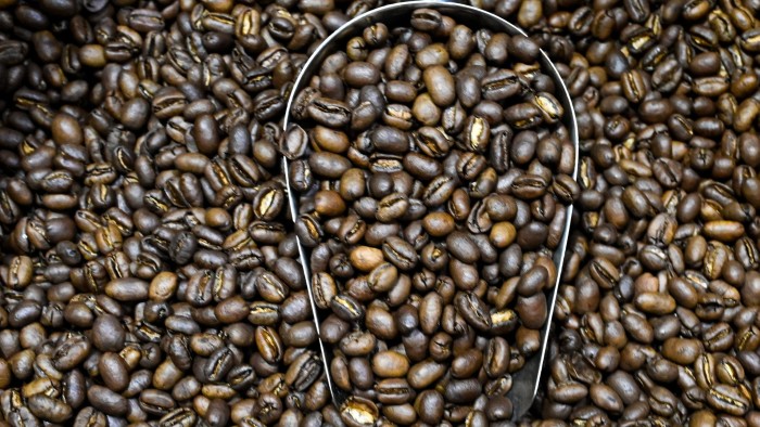 Arabica coffee beans at a coffee roastery in Banda Aceh