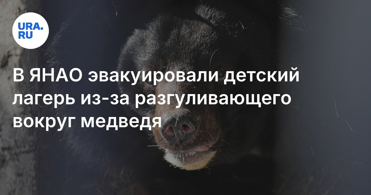 تم إخلاء معسكر للأطفال في Okrug Yamalo-Nenets