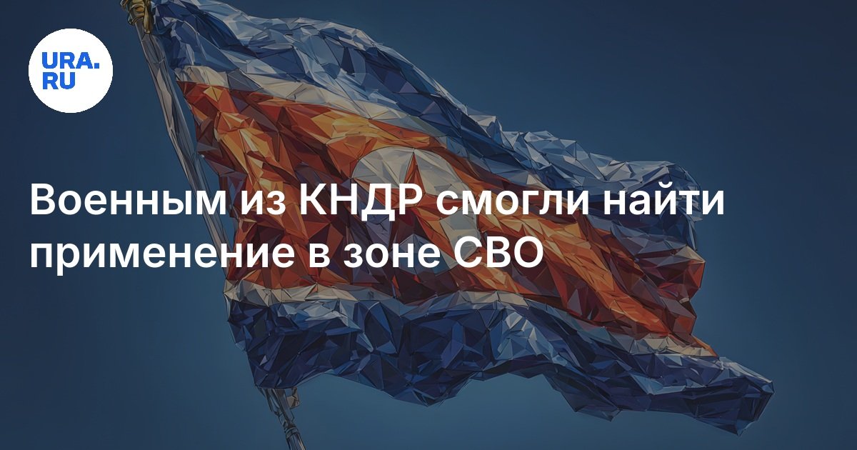 تمكن الجيش من DPRK من العثور على طلب في منطقةهم