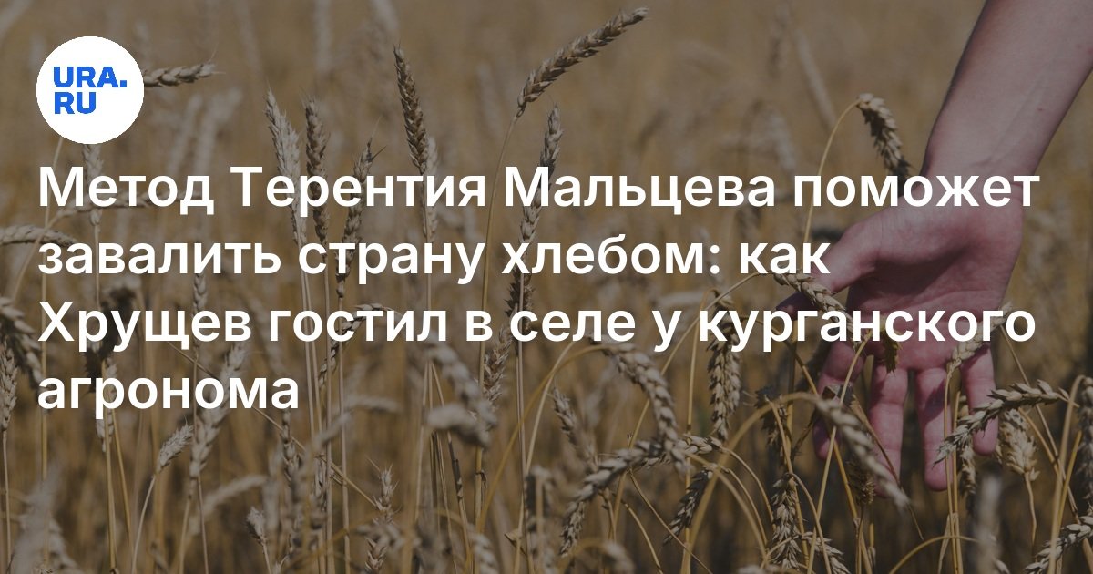 ستساعد طريقة Terenty Maltsev على ملء البلاد بالخبز: كيف بقي خروتشوف في القرية بالقرب من كورغان الزراعي