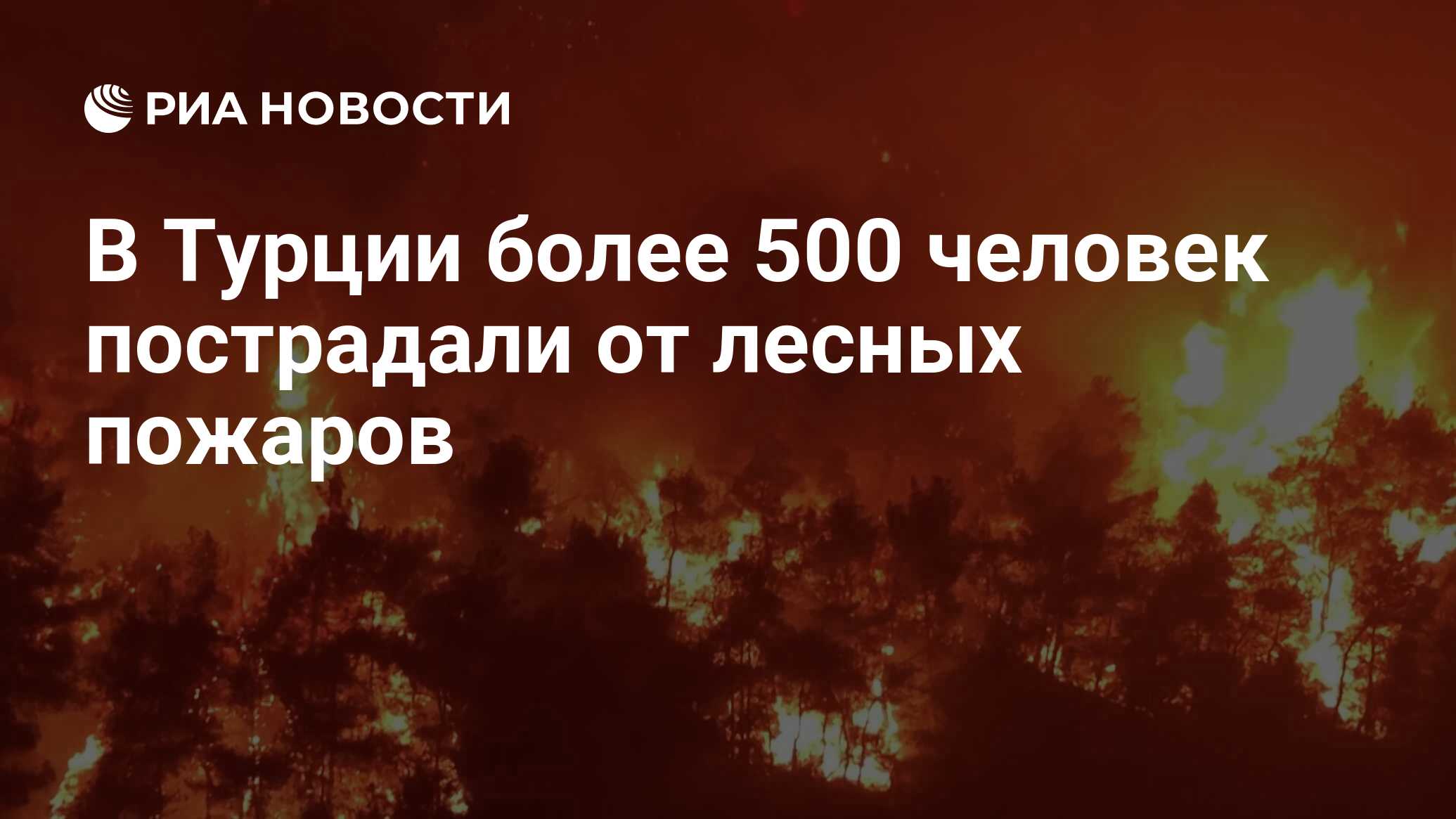 في تركيا ، عانى أكثر من 500 شخص من حرائق الغابات