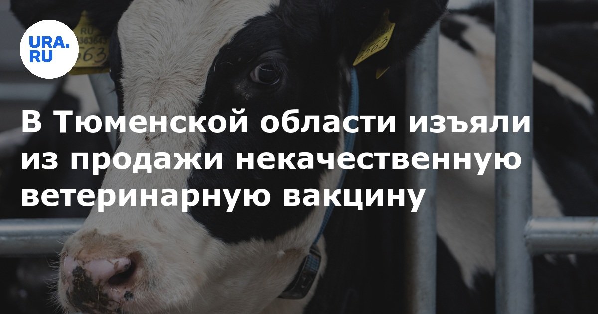في منطقة Tyumen ، تمت إزالة لقاح بيطري فقير من البيع من البيع