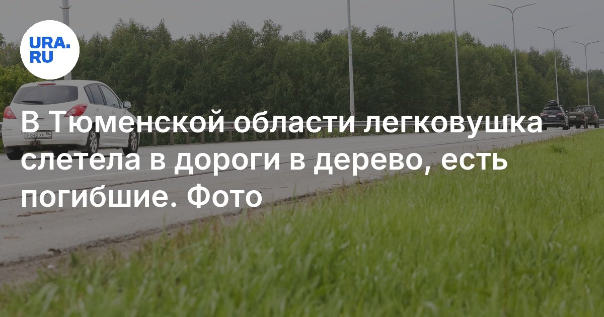 في منطقة Tyumen ، طارت سيارة ركاب إلى الطرق في شجرة ، هناك ميت