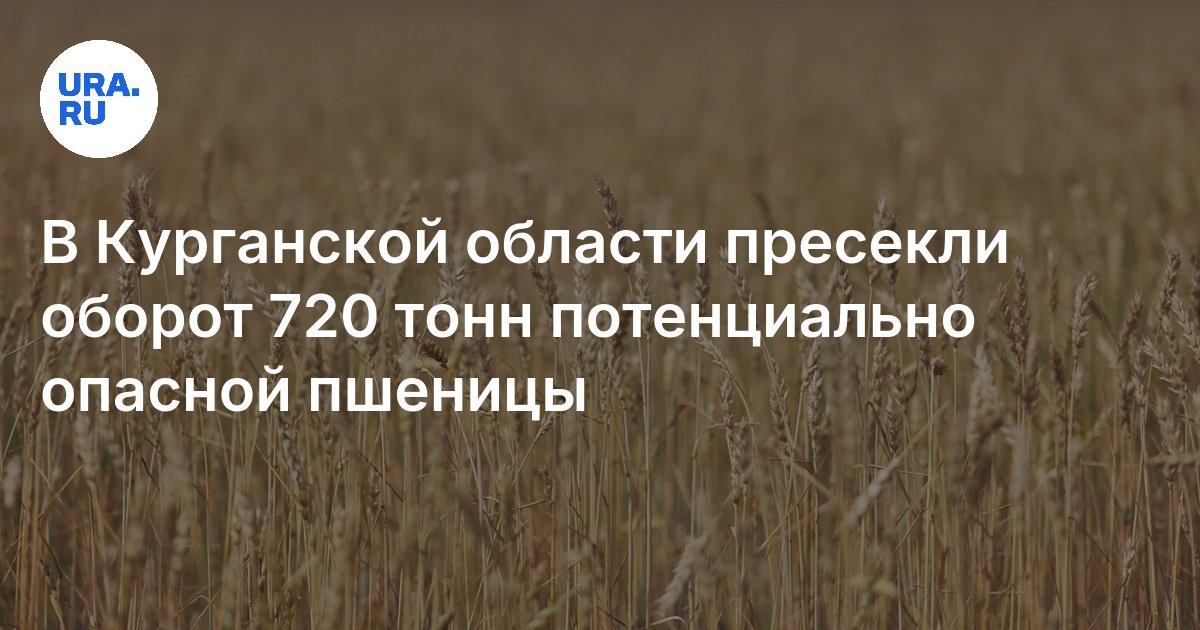 في منطقة كورغان ، توقف 720 طن من القمح الذي يحتمل أن يكون خطيرًا